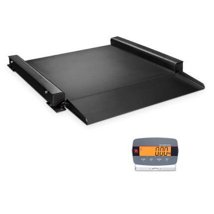 Vloerweegschaal DFD33P